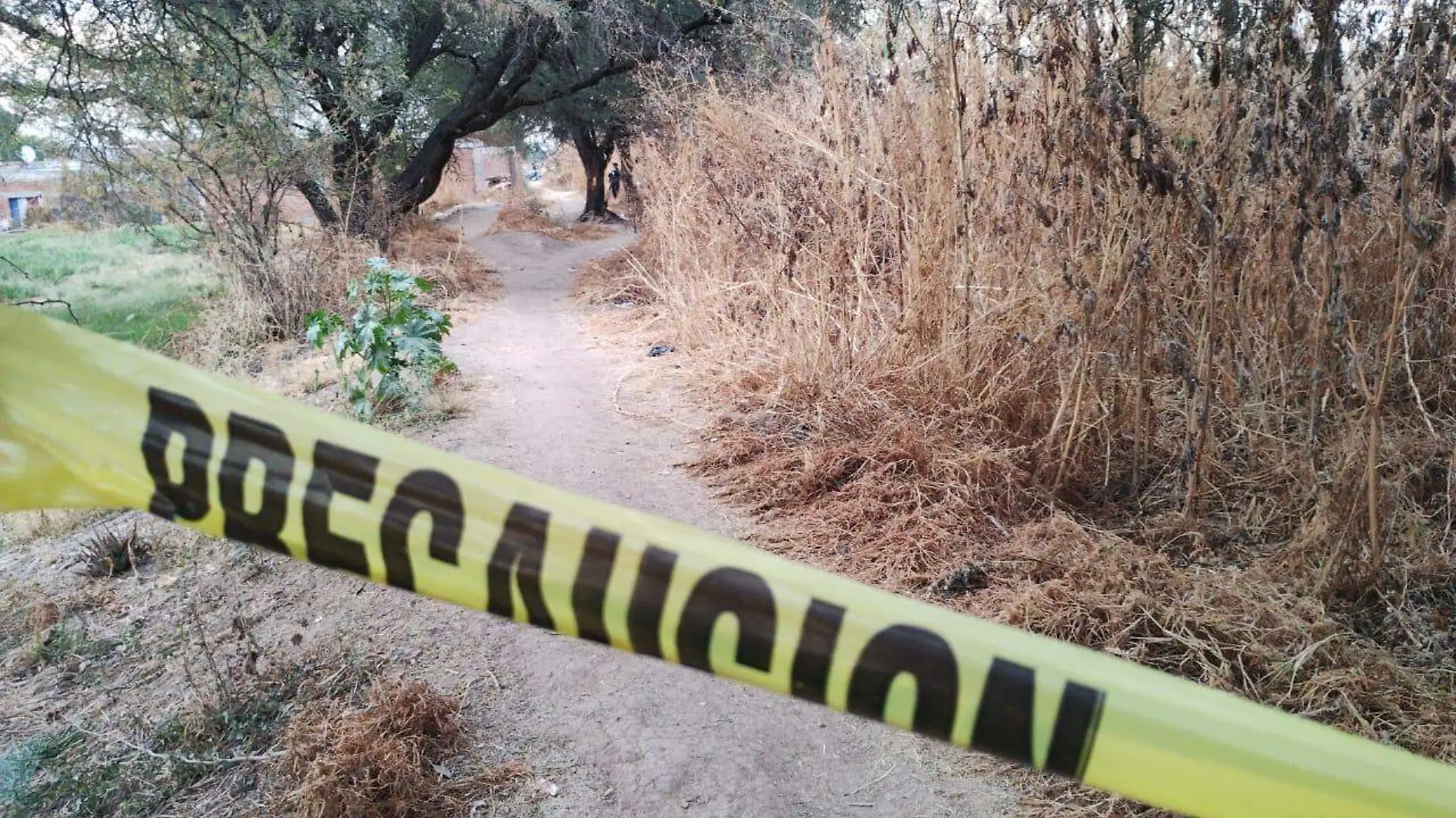 Ataque armado en Irapuato (1)